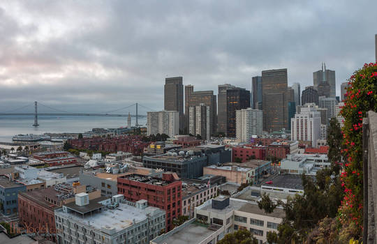 Morning in San Francisco