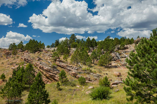 Pink Granite Hillside