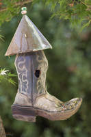 Bird House Boot