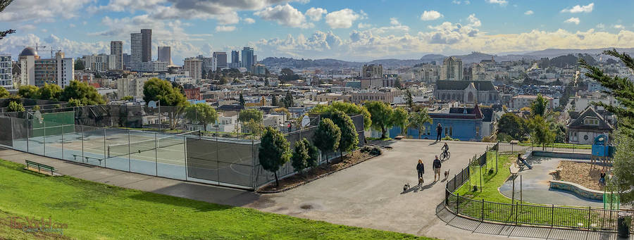 Alta Plaza Park