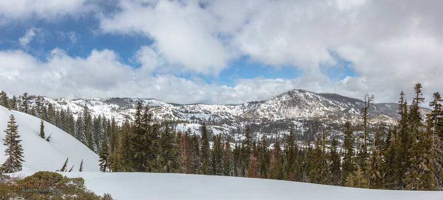 A view of Mount Ellwell