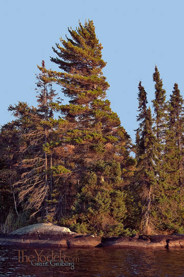 A lovely island out in the middle of Agimac Lake in Ignace ON