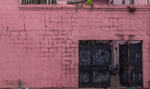 Pink Wall