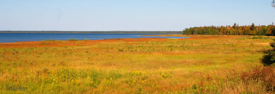 the shoreline of lake huron from Michigans upper penninsula