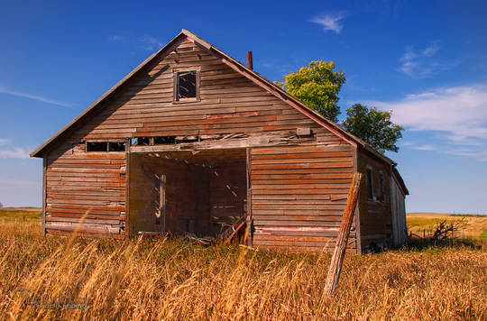 Lichen Barn