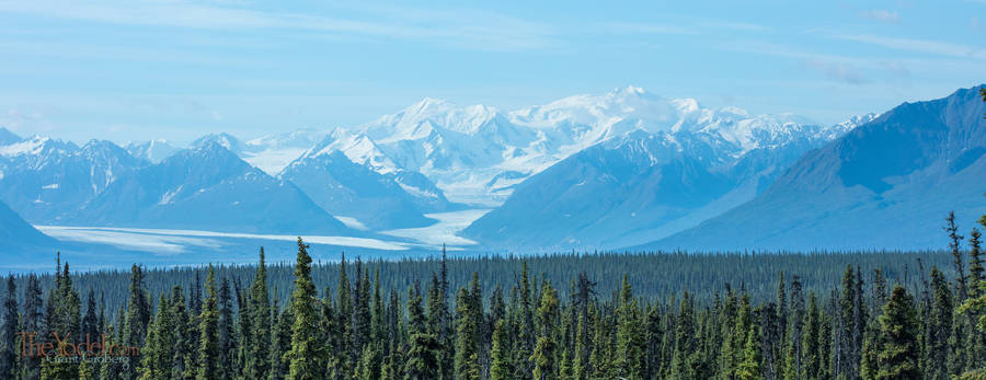 Distant Glaciers