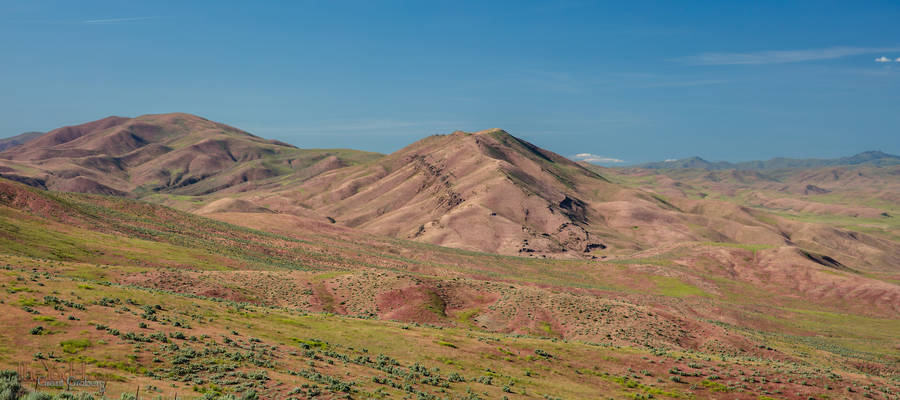 Pink Hills of Oregon