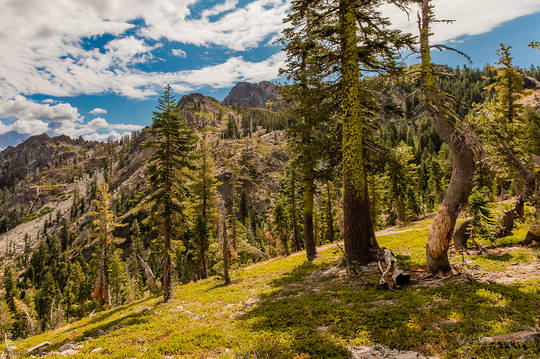 Sierra Buttes North