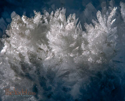 Crystal Growth Snow... a closer look