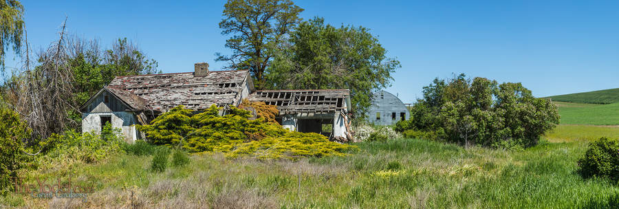 Abandoned House