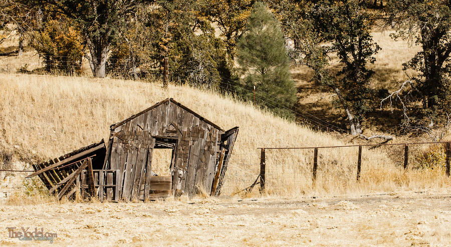 Ramshackle Shed