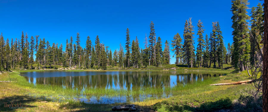 Alpine Puddle