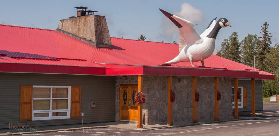 Giant Goos in Wawa Ontaria