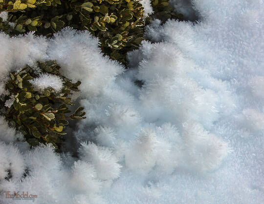 Crystal Growth Snow