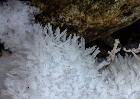 Crystal Growth Snow