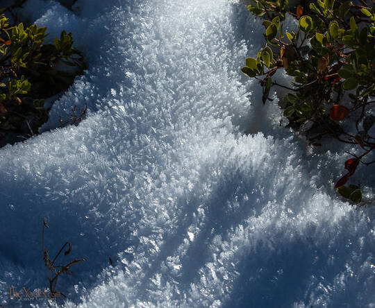 Crystal Growth Snow