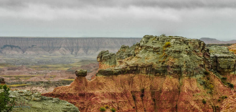 Green Capped Ridge