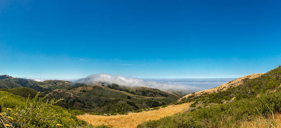 More Offshore Fog