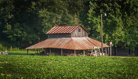 Shed with Awnings