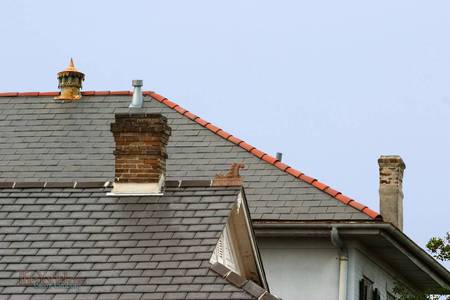 Chimneys and Roofline