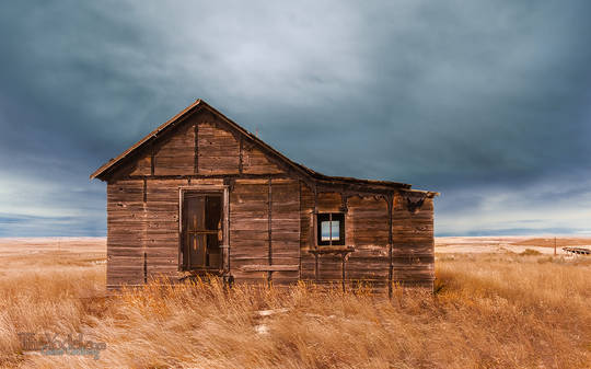 Forgotten house