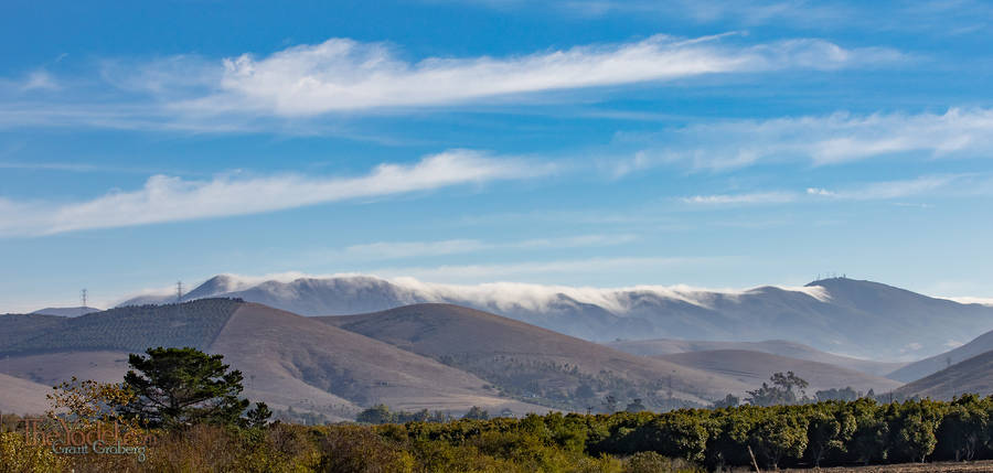 Inland Fog Cresting