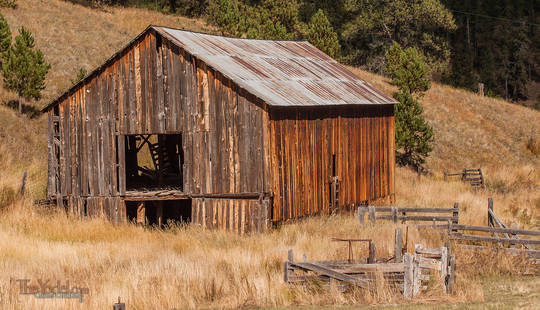 The side of a barn turned golden