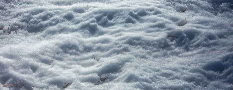 Wind Sculpted Snow