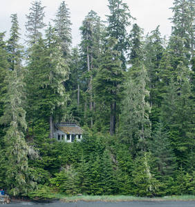 Abandoned Alaskan Homestead