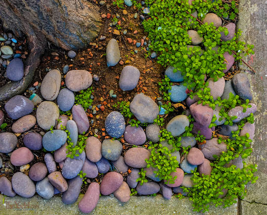 Colorful Stones