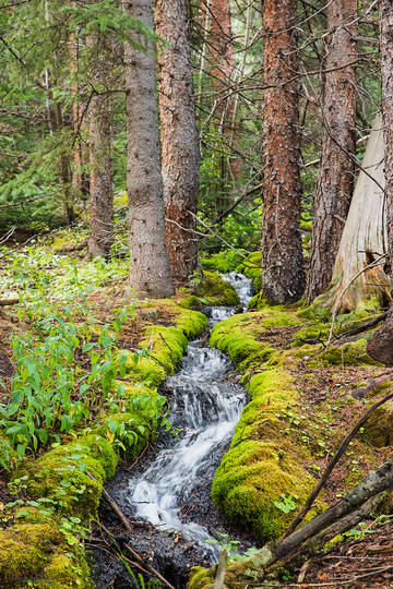 Mountain Stream