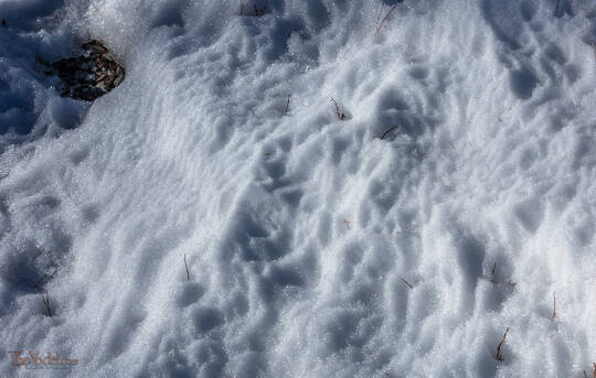 Wind Sculpted Snow