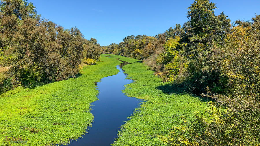 River Channel