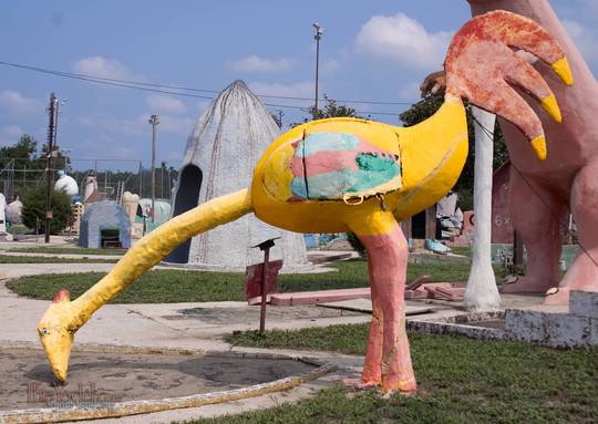 Chicken found in a miniature golf course in Mobile Alabama