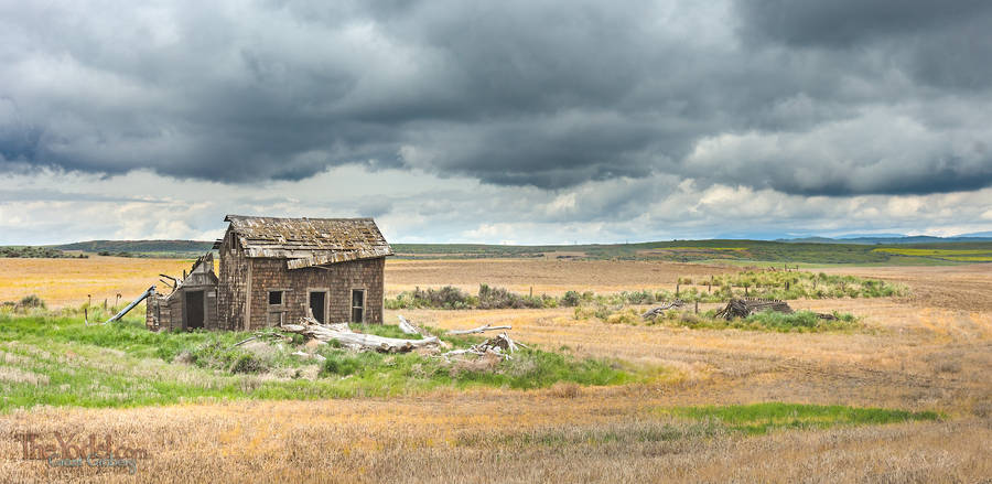 Old Wrecked House